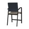 Lesro Newport Hip Chair Metal Frame, Black, RS Night Sky Back, MD Farro Seat NP1161 - alternate 2